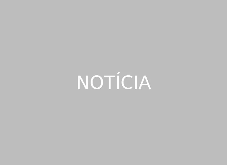 Notícia 3